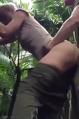 jungle