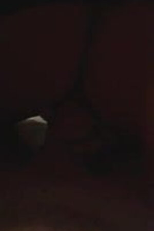 acemi