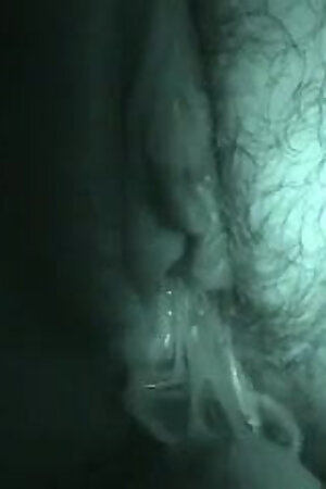 Amateur