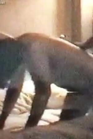 DOGGIE